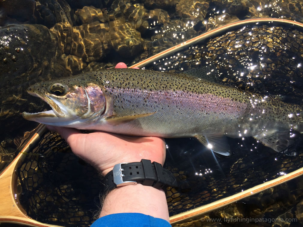Quillen River fishing photo 6