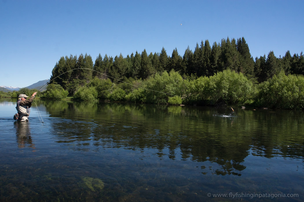 Quillen River fishing photo 10