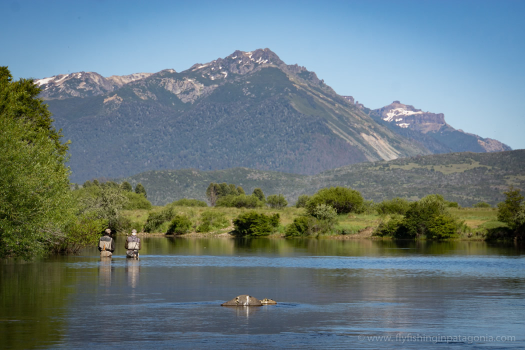 Quillen River fishing photo 9