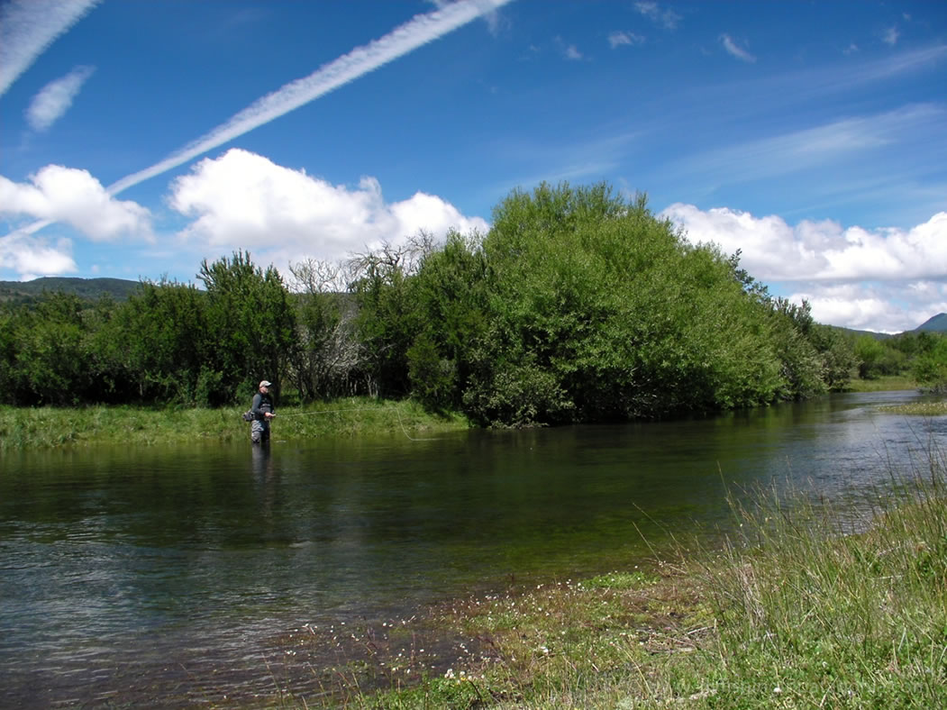 Quillen River fishing photo 2