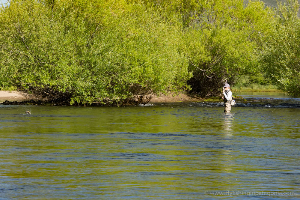 Quillen River fishing photo 5