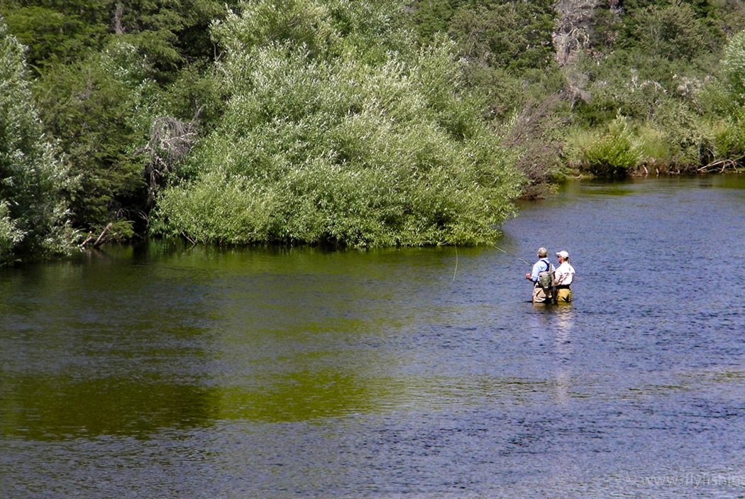 Quillen River fishing photo 8