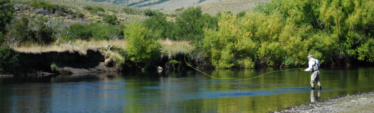Fishing the willows pool, Malleo River Malleo River inside San Huberto