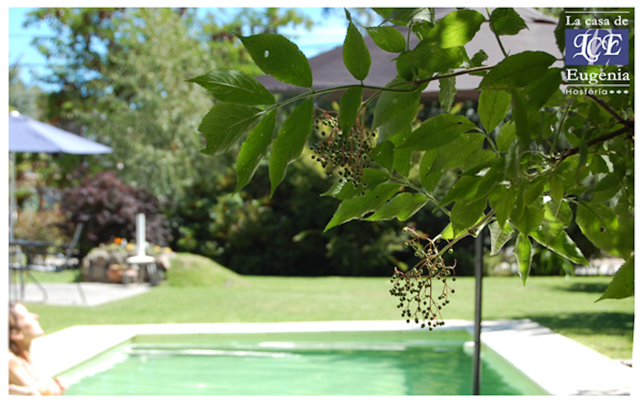 La Casa de Eugenia garden and outdoor pool